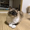  さん
