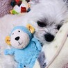 おねむちゃん