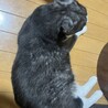 わがままボディのおむすびくん サムネイル3