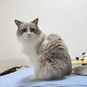 ちちのん さん