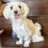 抱っこされるのが大好きな「ノコ」 サムネイル2