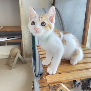 ポジティブ★あいづ★かわいすぎて滅