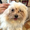 抱っこされるのが大好きな「ノコ」 サムネイル5