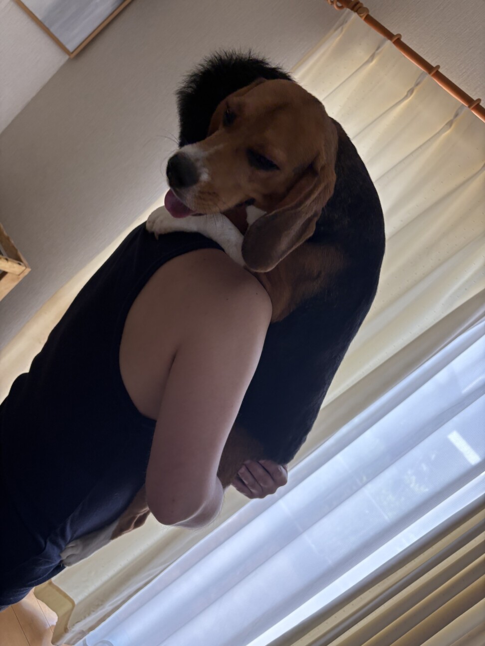 叶歩