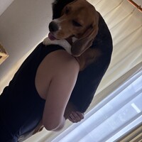 叶歩
