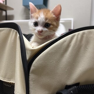 おっとり★まひる★甘えん坊