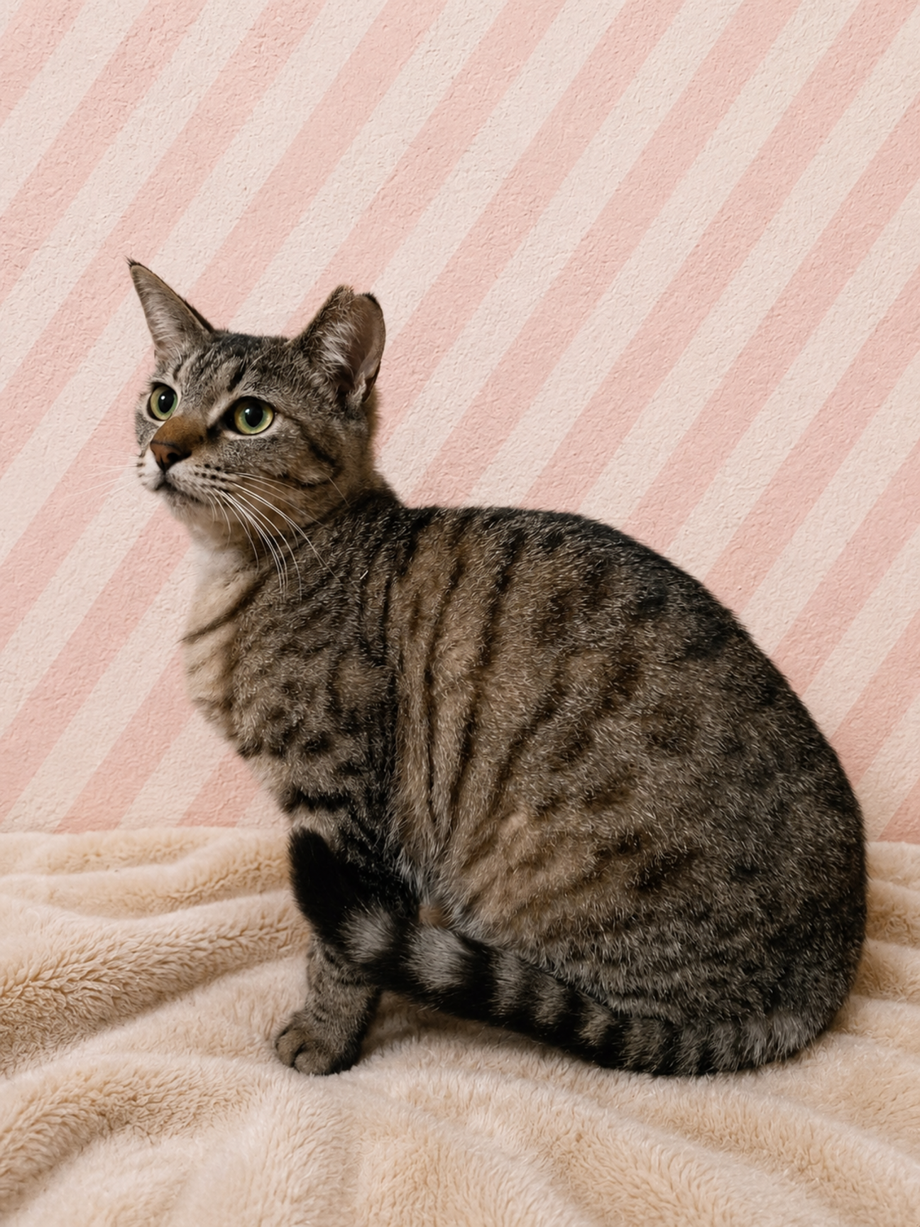 甘いフェイス “ここな” は “ここ” にいます♡の写真
