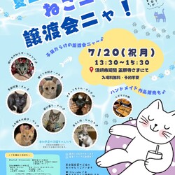 保護猫《子猫》譲渡会