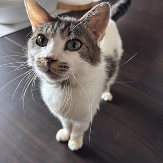 とっても人懐っこい男の子