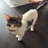 とっても人懐っこい男の子 サムネイル3