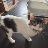とっても人懐っこい男の子 サムネイル4
