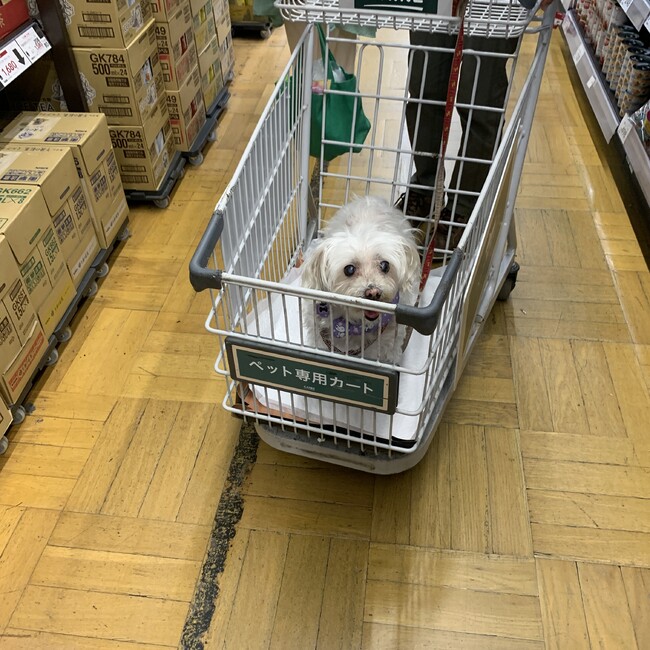 hanabouのカバー写真
