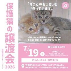 保護猫の譲渡会