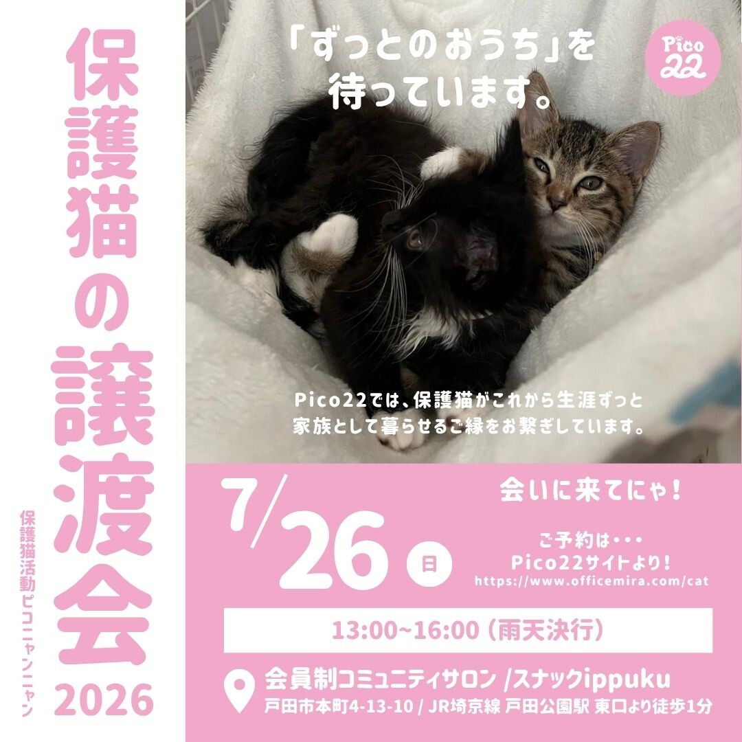 保護猫の譲渡会」（Pico22（ピコニャンニャン）のイベント #29515