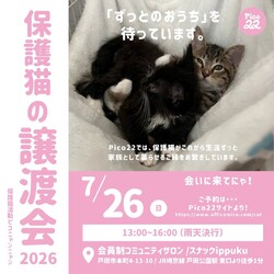 保護猫の譲渡会