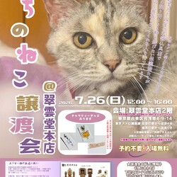 まちのねこ譲渡会