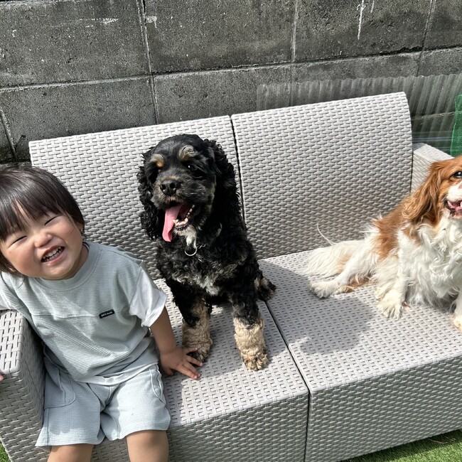 たかのやのカバー写真