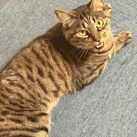 リーン