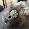 おしゃれ大好き♡