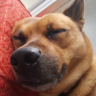 の写真
