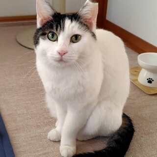 〝ポップちゃん〟です♪