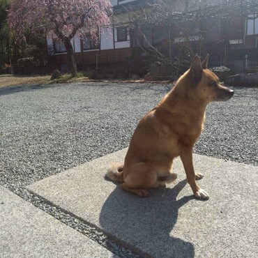 の写真