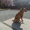 の写真