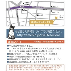 LiveLife譲渡会inキャットソシオンギャラリー サムネイル2
