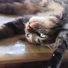 みなまち