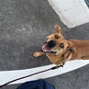 ！！ひかる