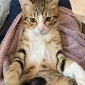 ずっとのご家族に出逢えました