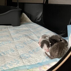 新居にお引越ししました