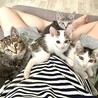 4兄弟の長男ポジ☆グレートラもえぎくん サムネイル6