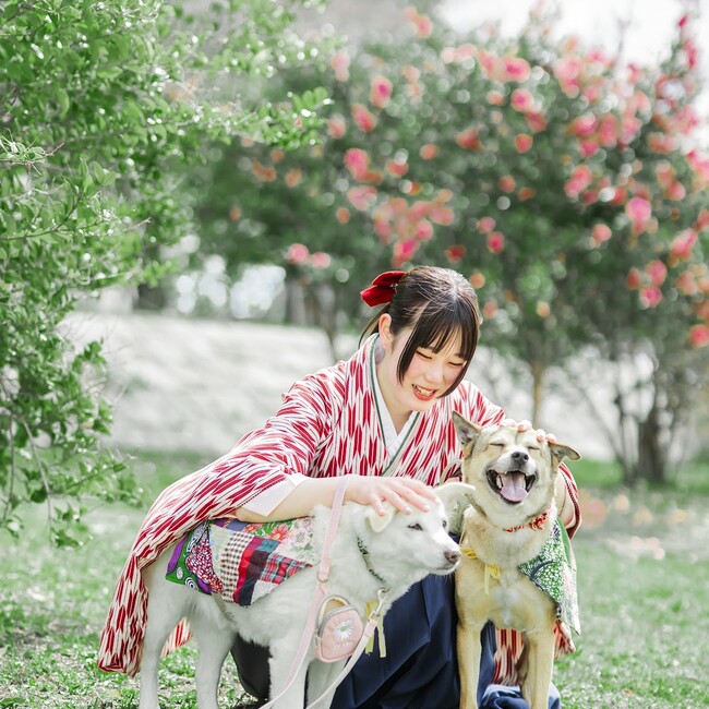 まりもとたまごとつみれのカバー写真
