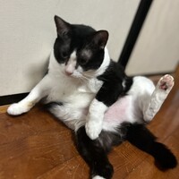 比嘉夏紀