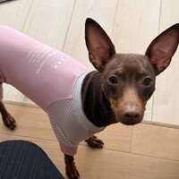 ラブ