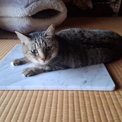 姫＆殿、熱中症には気をつけよう