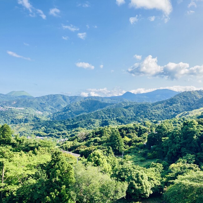 wanwandaisuki1のカバー写真