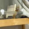 ハイイエロートカゲ