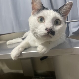 ぼくだって家族がほしいんだよ