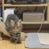 つきちゃん サムネイル2