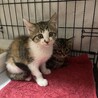 つきちゃん サムネイル3