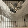 つきちゃん サムネイル6