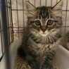 つきちゃん サムネイル7
