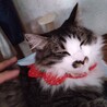 ハンデっ子だけど、元気いっぱいのやんちゃガールです サムネイル4
