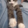 ハンデっ子だけど、元気いっぱいのやんちゃガールです サムネイル6