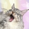 ぴゅり
