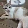 青い目の♡はるかちゃん サムネイル1