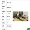 殺処分対象❗️収容期限7/21迄❗️延長なし サムネイル7