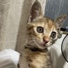 元気いっぱいのベイちゃんです サムネイル6
